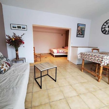 Studio Au Pied Du Chateau De Castelnaud Exterior photo